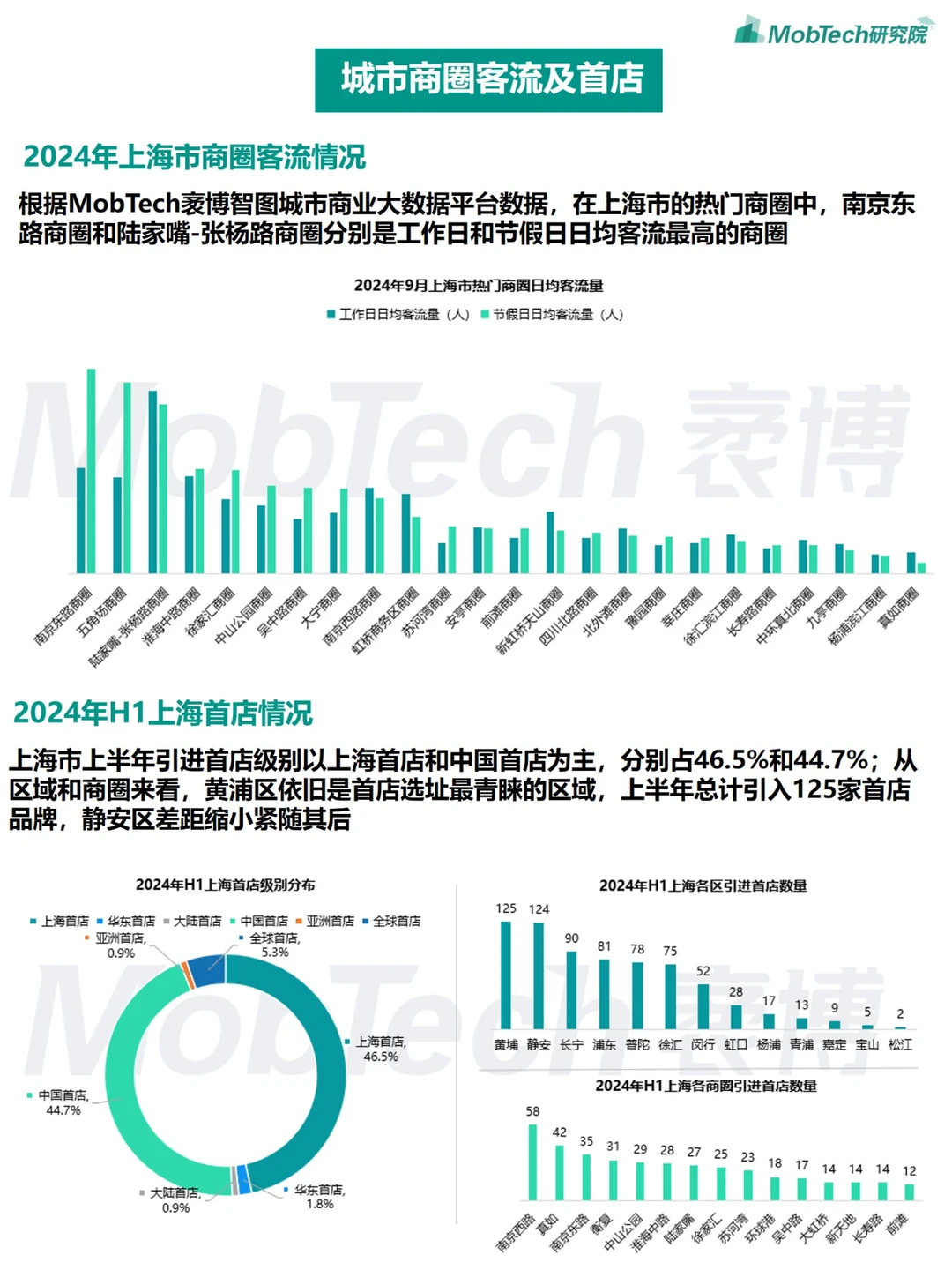 城市洞察 | 2024年热门城市系列报告-上海篇