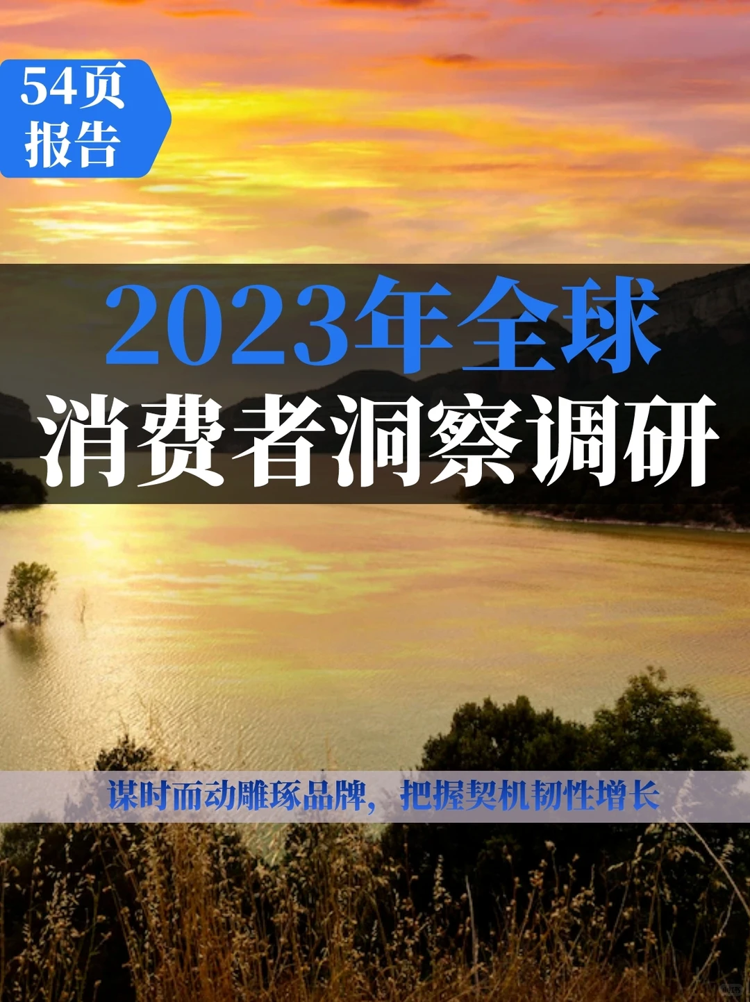 2023年全球消费者洞察调研 中国报告