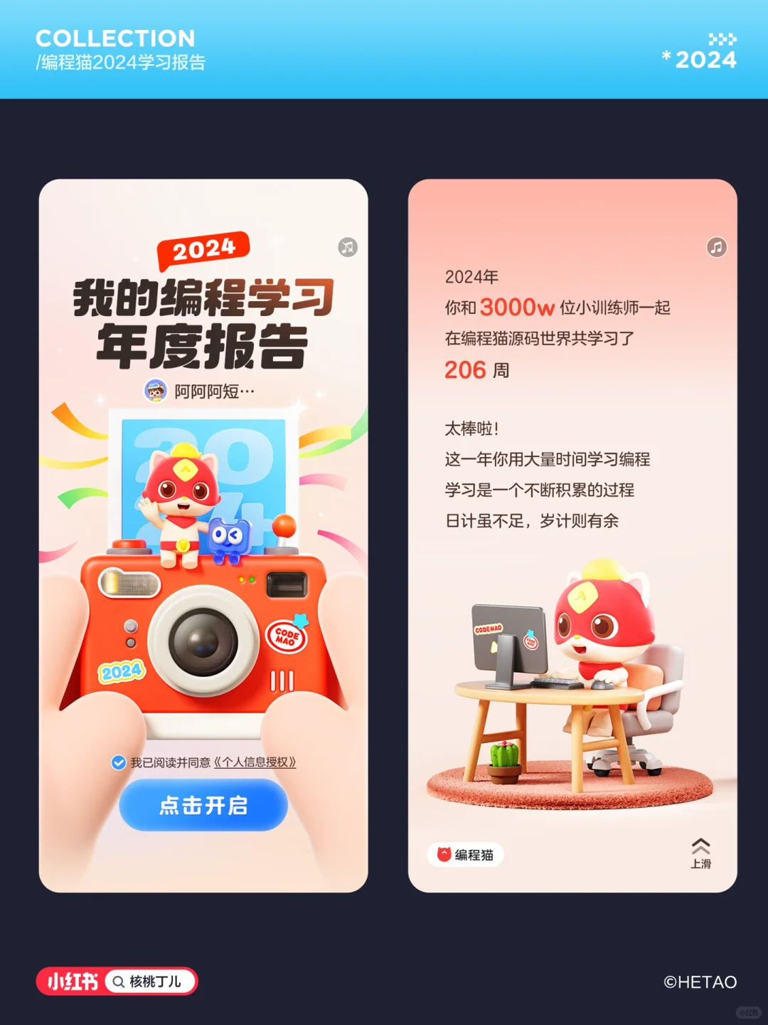 工作｜2024年度报告