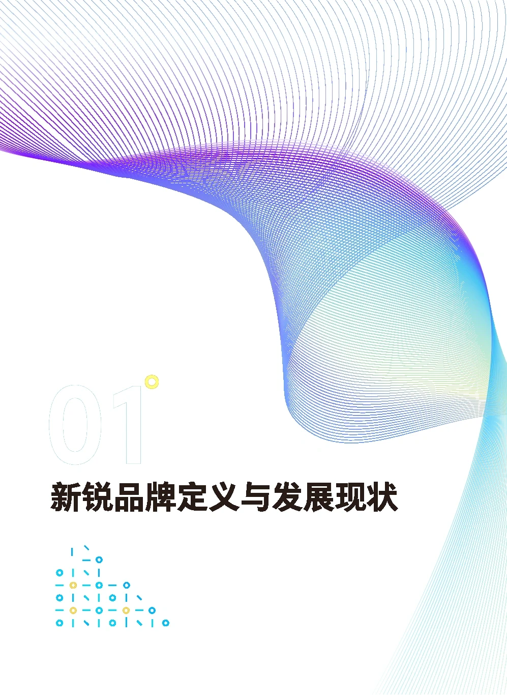 新锐品牌|2022年增长研究报告【高质量】