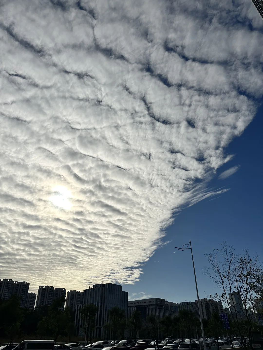 这个月错过了上半场，下半场尽是坑