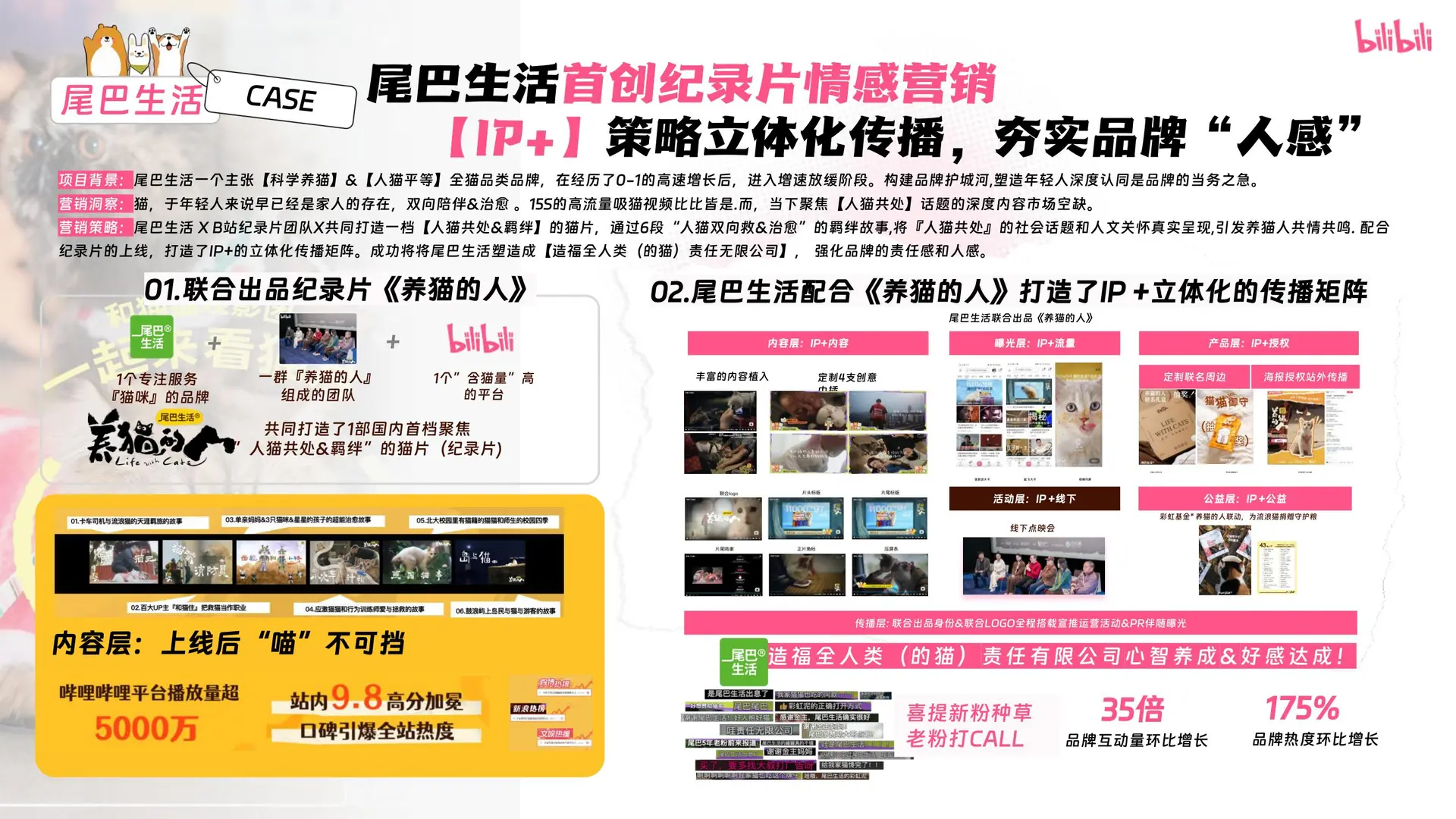 ?2025年宠物行业营销通案