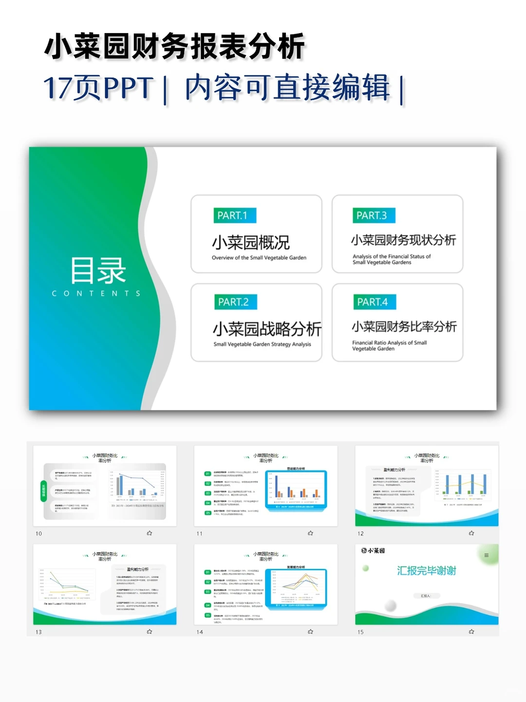 小菜园财务报表分析PPT