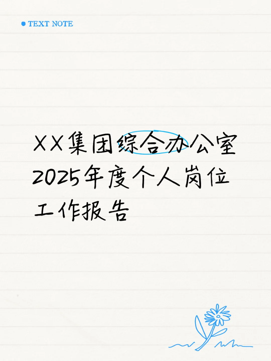 综合办公室2025年度个人岗位工作报告