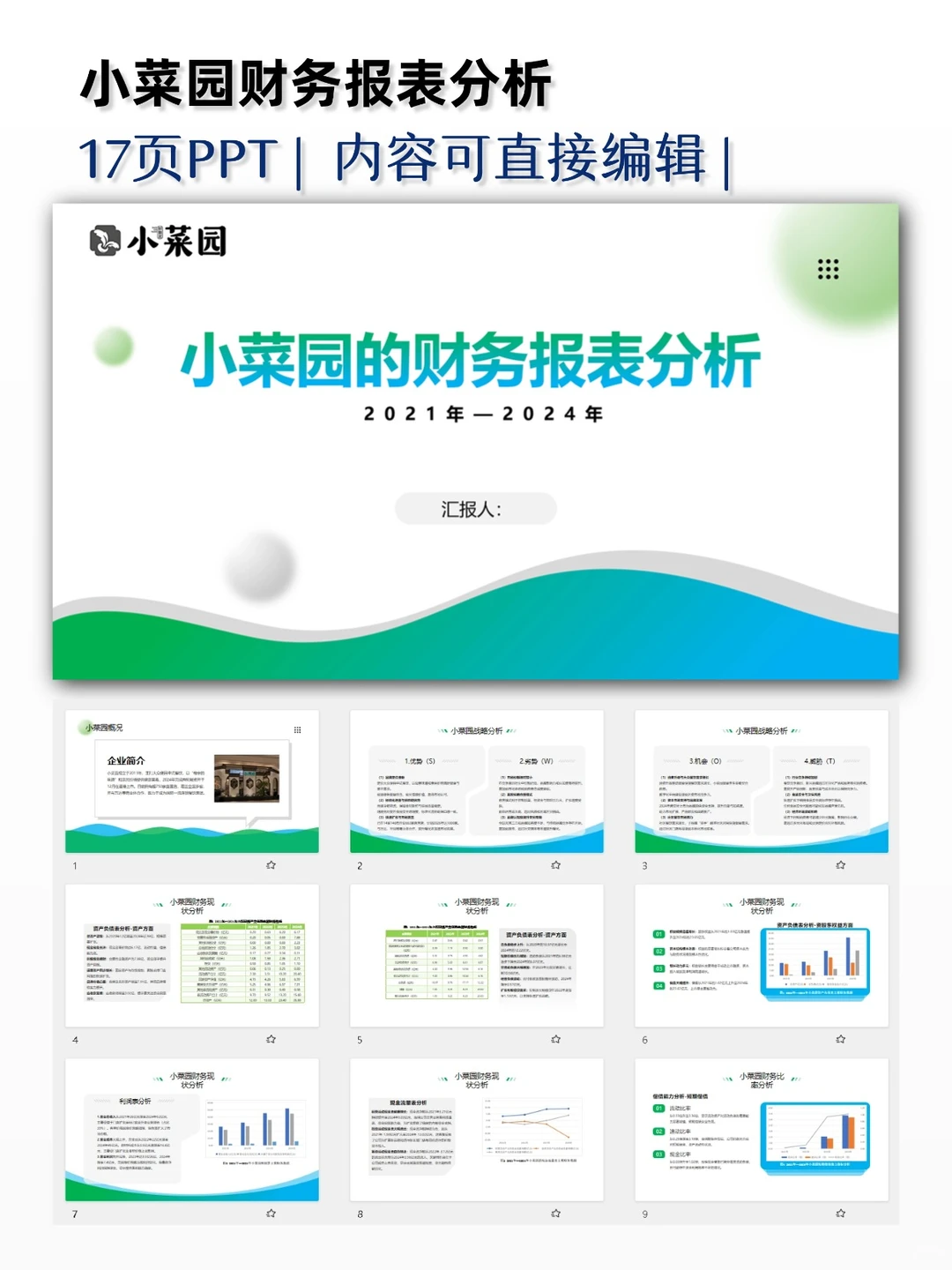 小菜园财务报表分析PPT