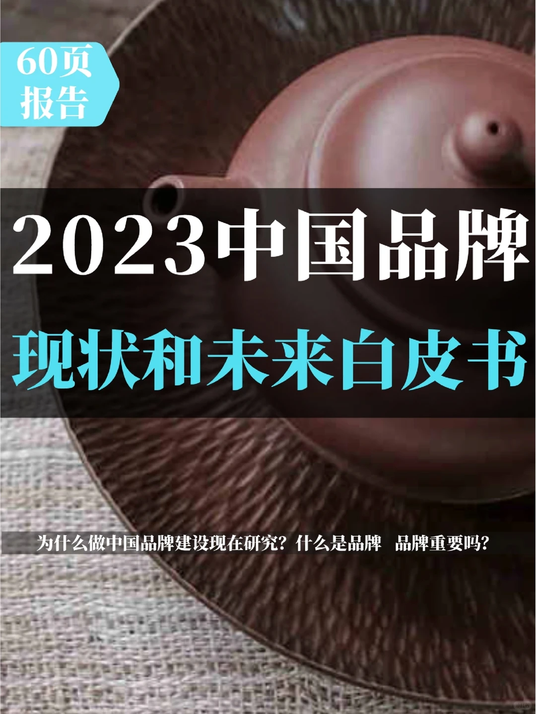 2023中国品牌的现状和未来白皮书（探启篇）