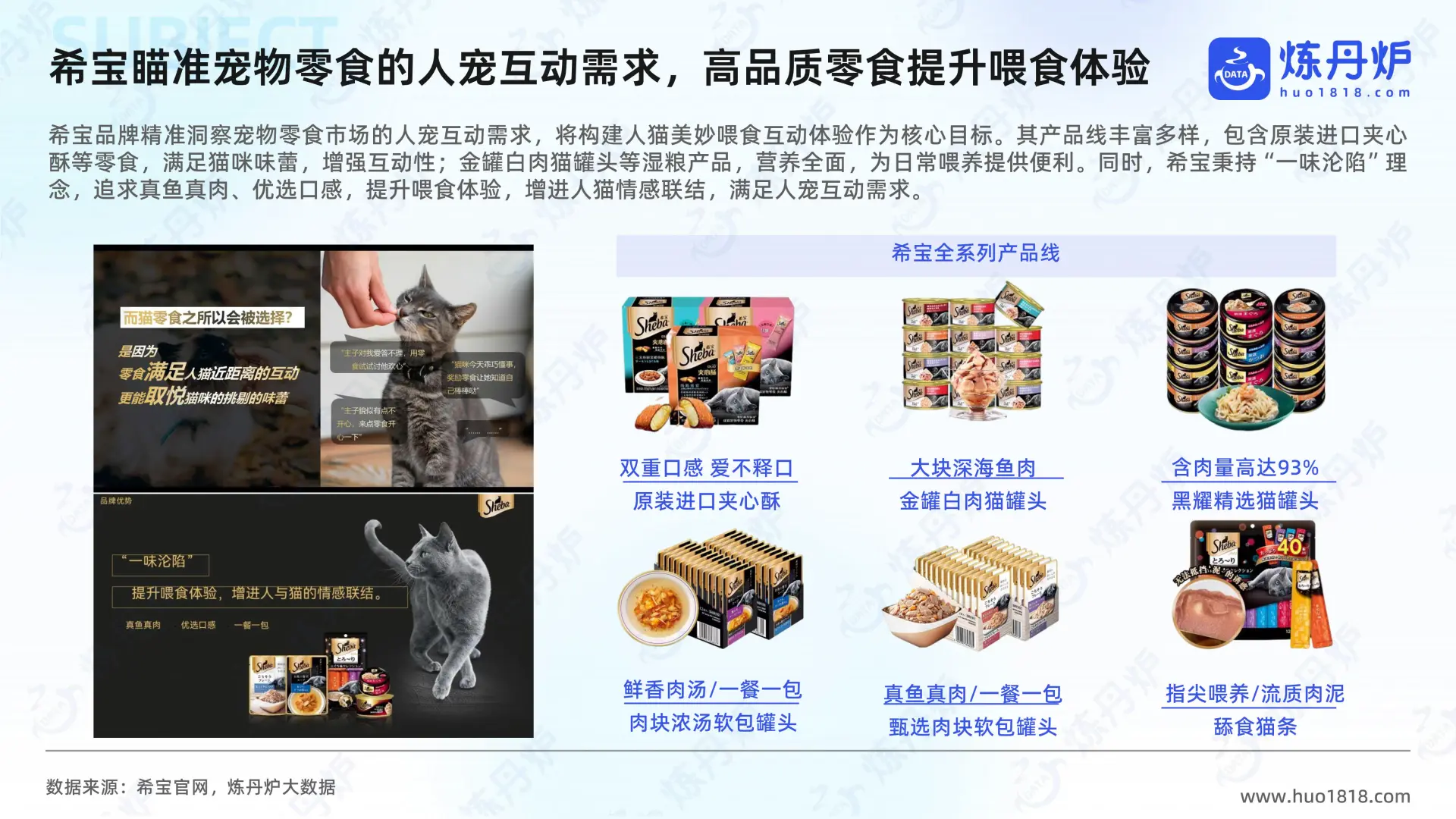 2025年“猫经济”消费趋势洞察报告