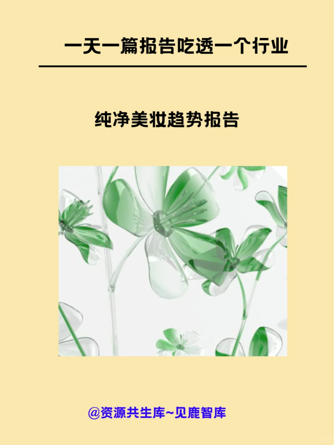 纯净美妆趋势报告