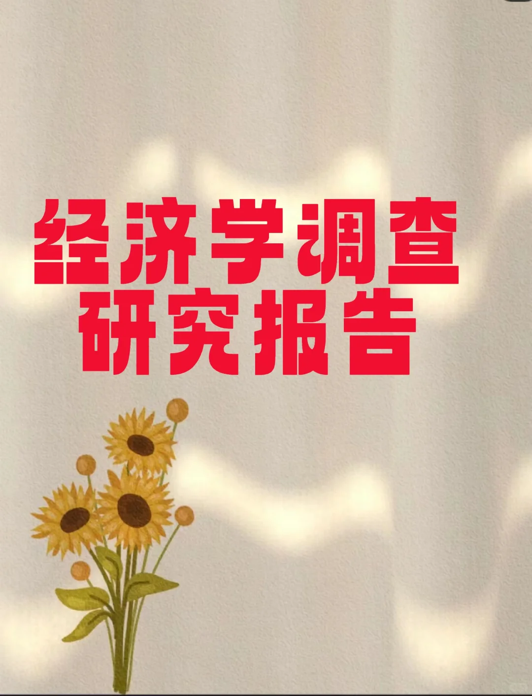 《经济学调查研究报告》word