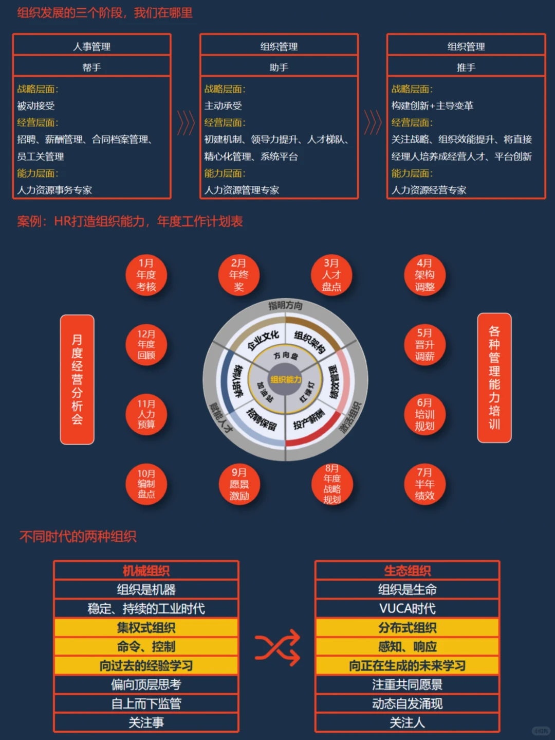 ?21世纪公司组织进化秘籍?HR必看！