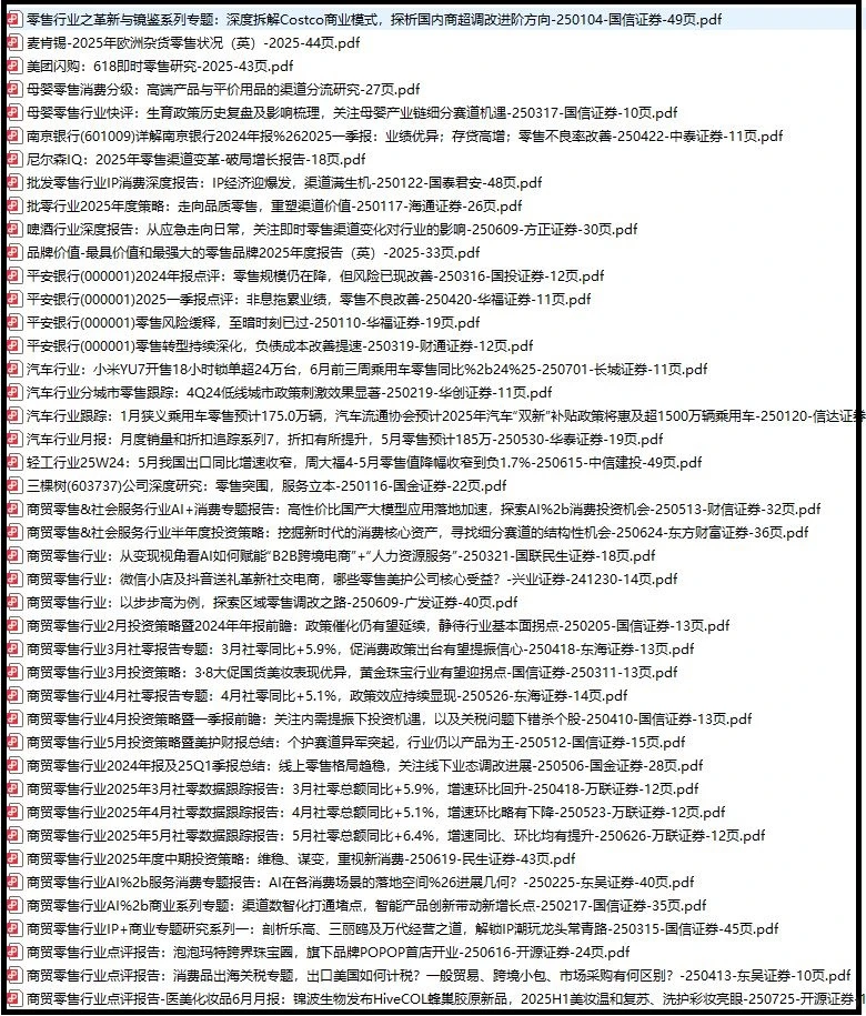 2025年零售市场分析报告（200份）