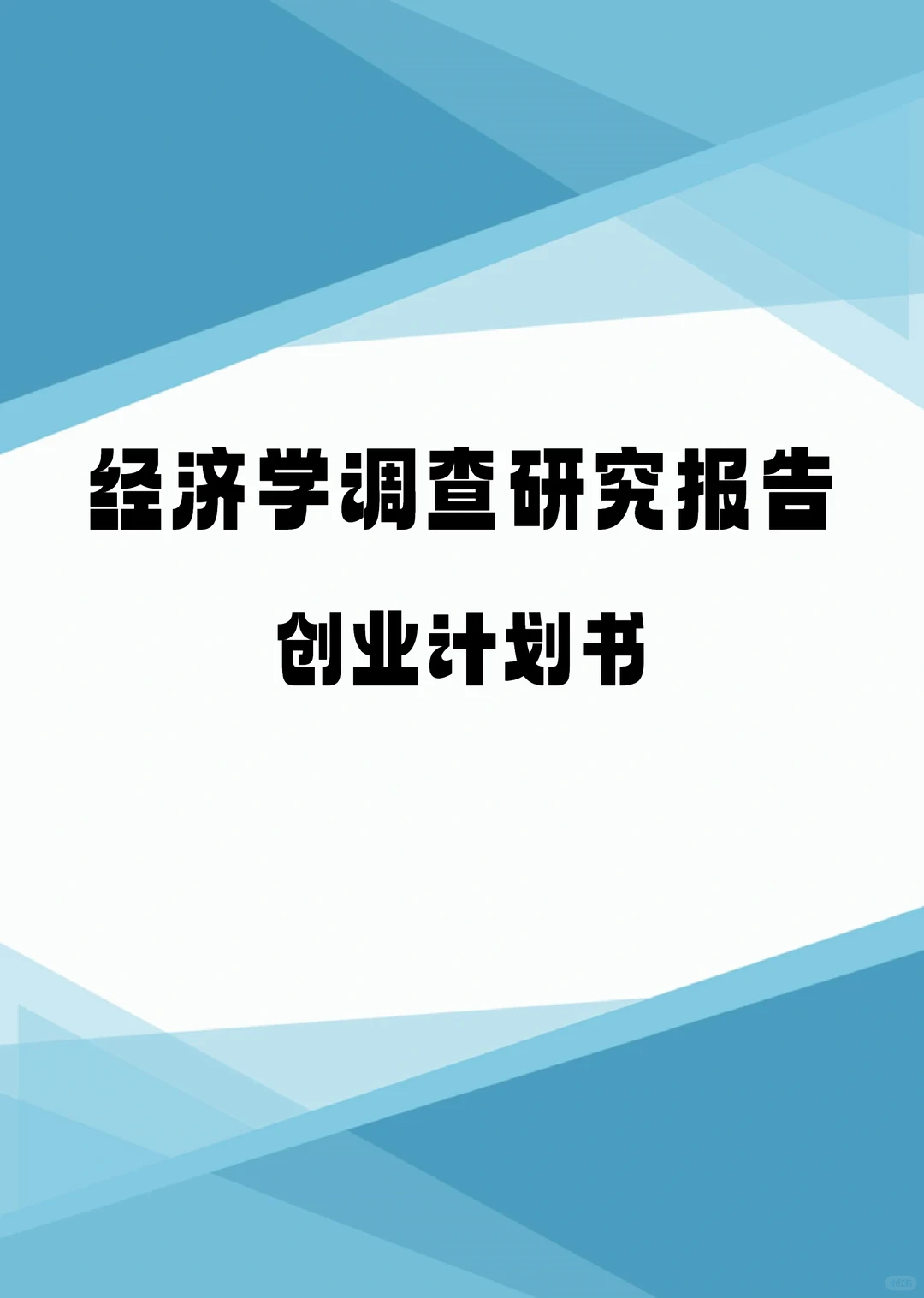 《经济学调查研究报告创业计划书》word