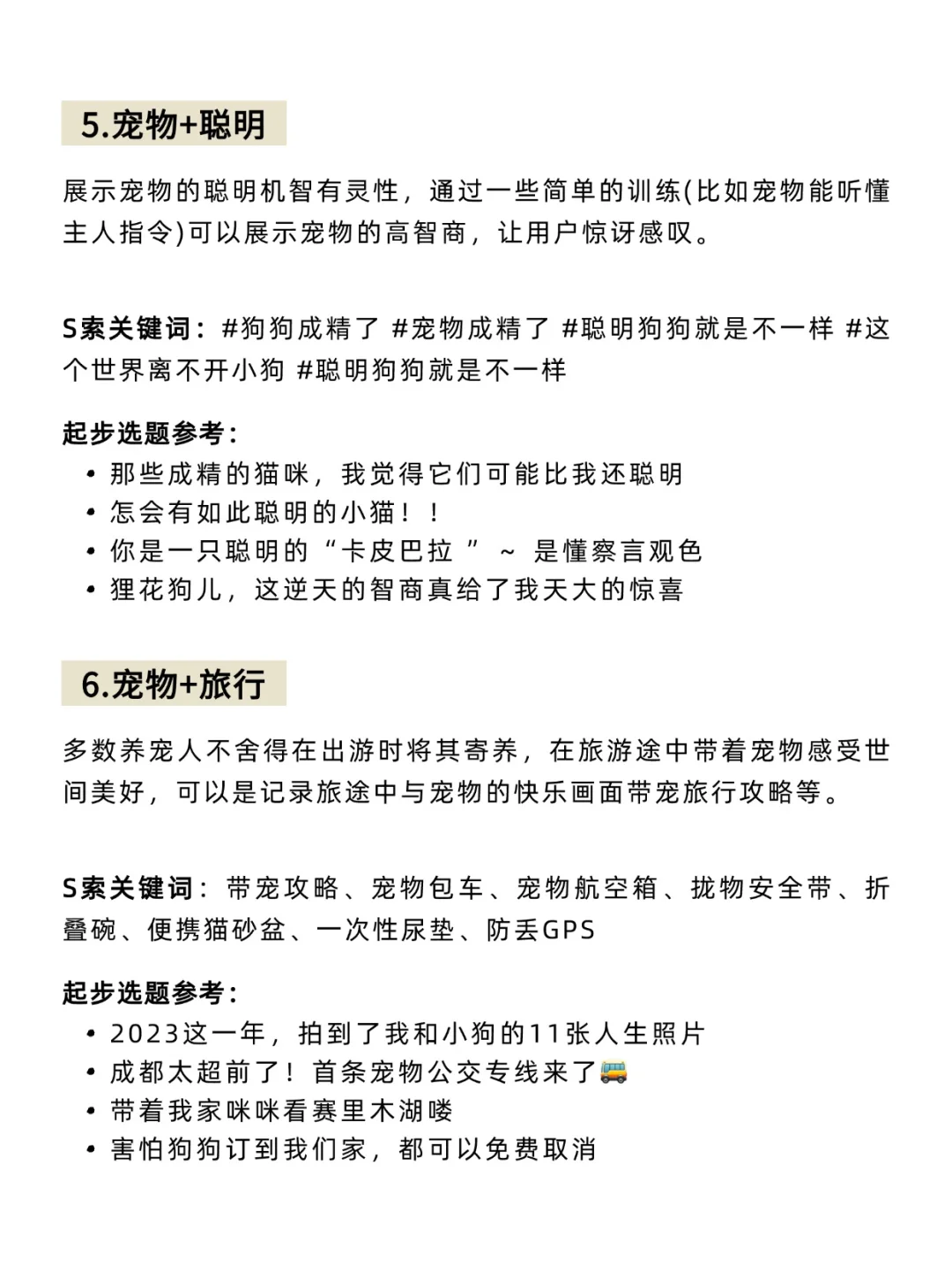 宠物赛道，做双赛道真的很容易爆‼️