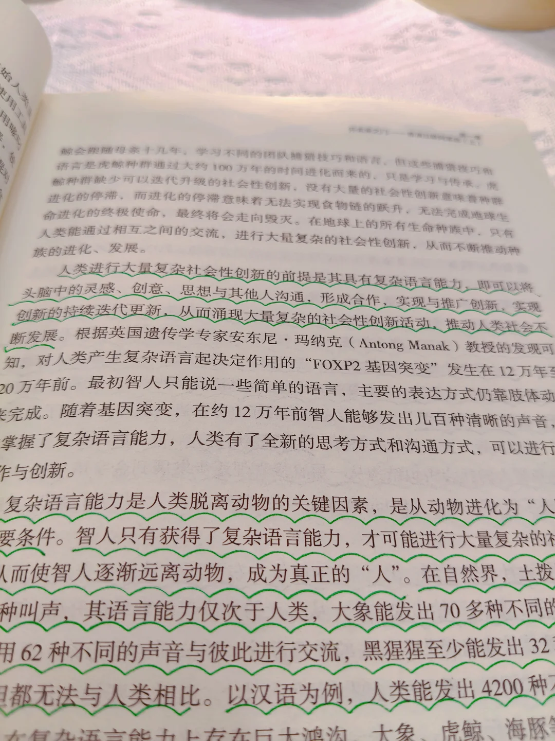 《聚势》：开启全球科技、商业、经济新趋势