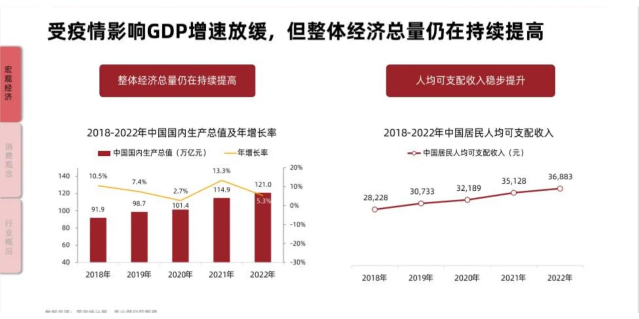 2023年中国美容行业报告