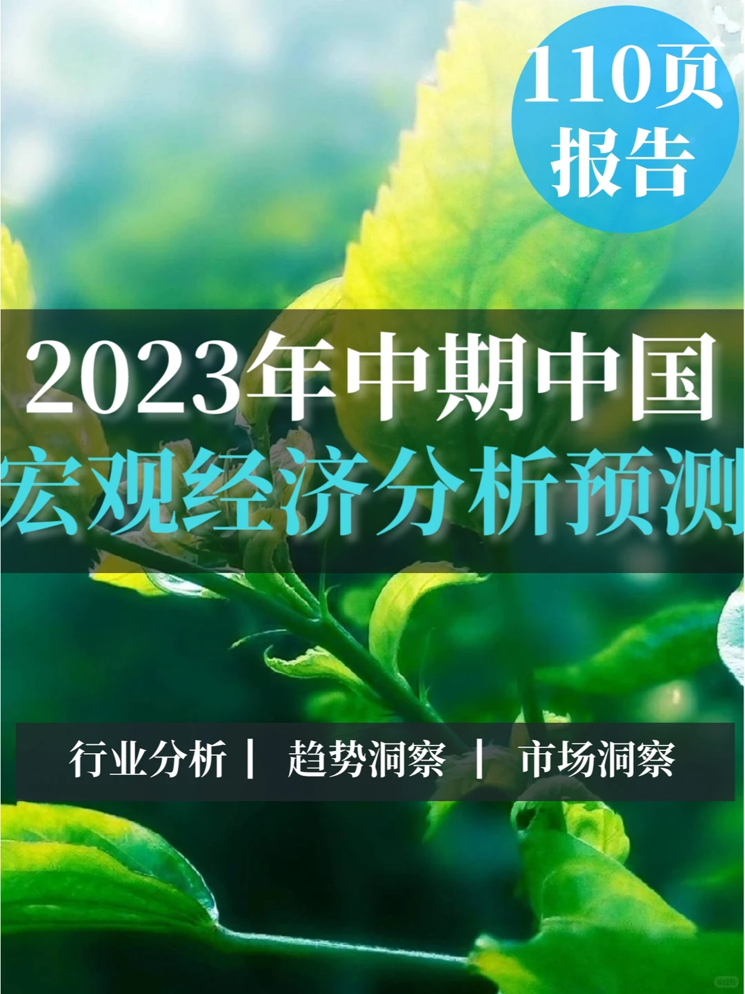 110页报告▏2023年中期中国宏观经济分析