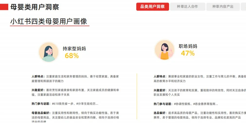 小红书平台消费者洞察/用户分析（15套）