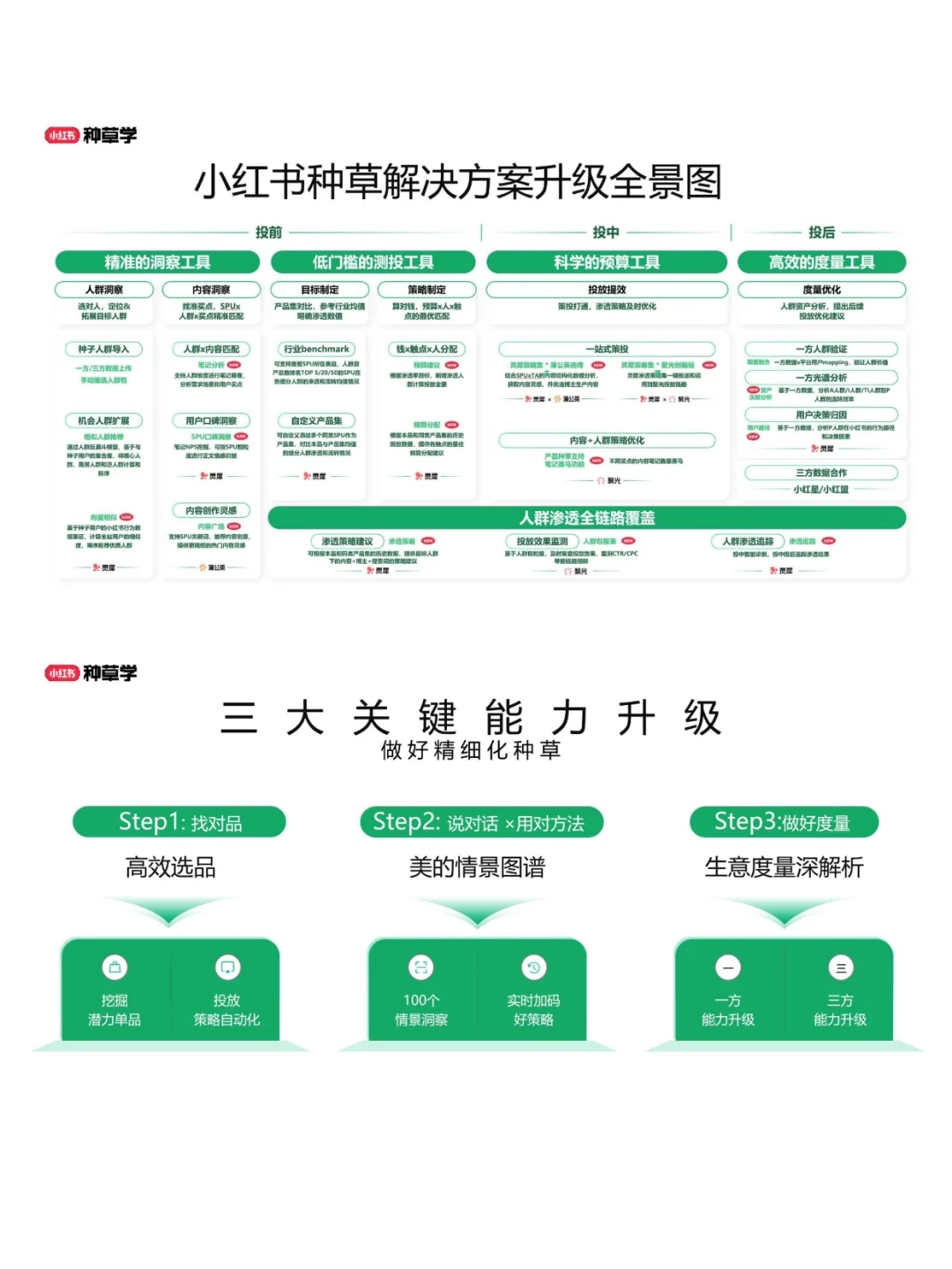 2025解码彩香行业双11全域新增长报告