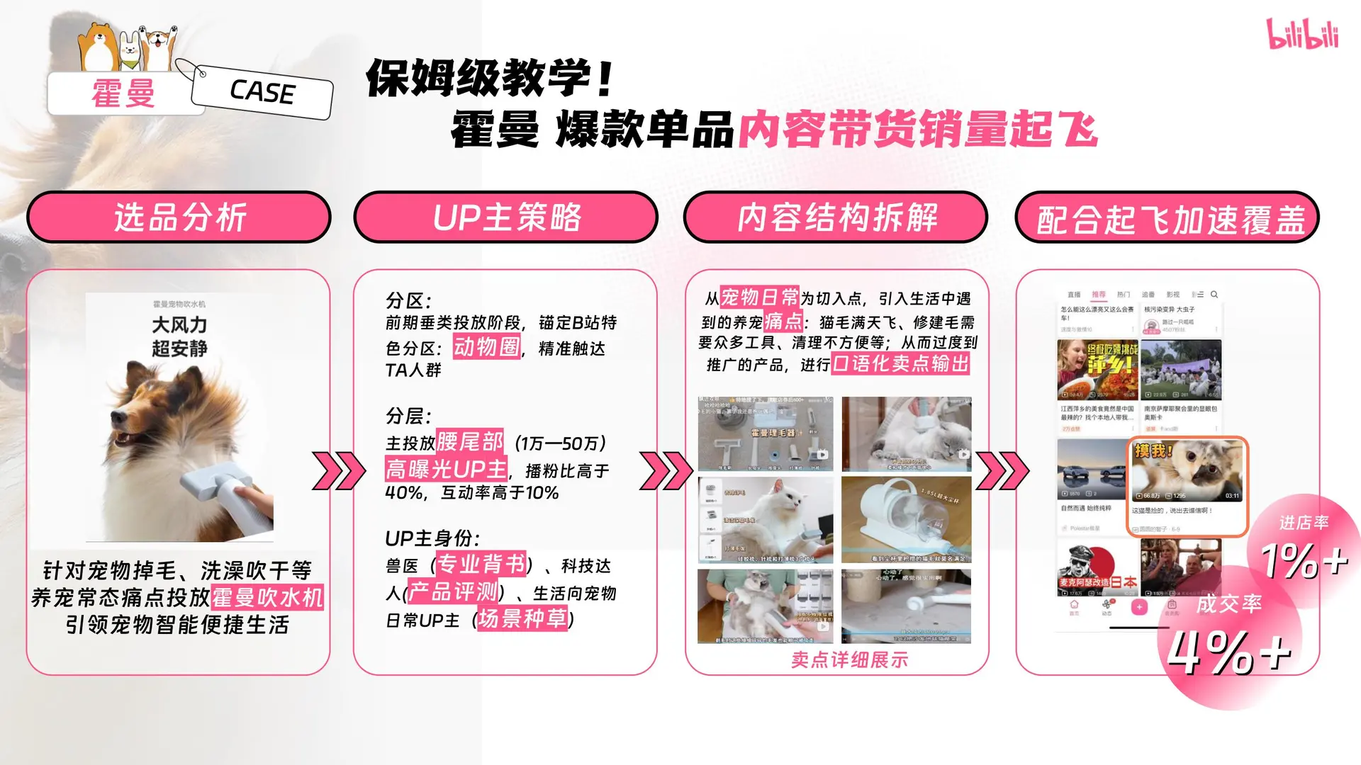 ?2025年宠物行业营销通案