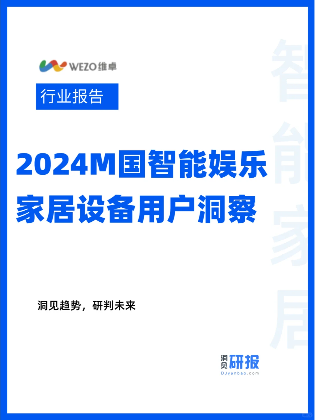 2024M国智能娱乐家居设备用户洞察