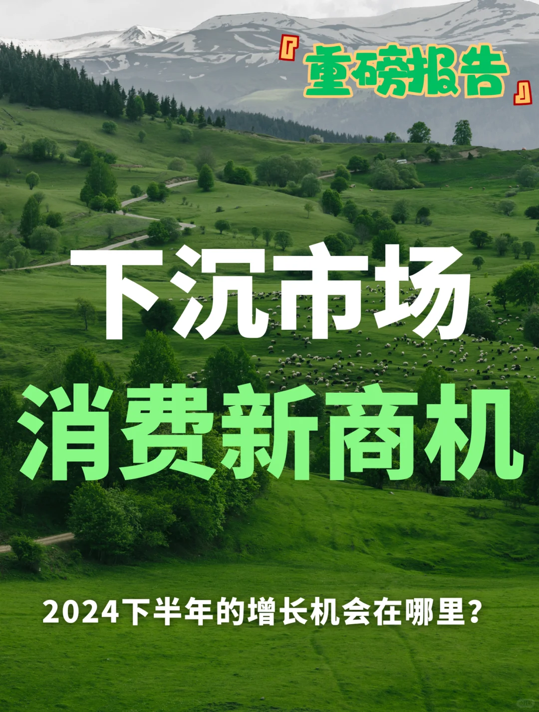 86页报告｜2024下沉市场消费新商机