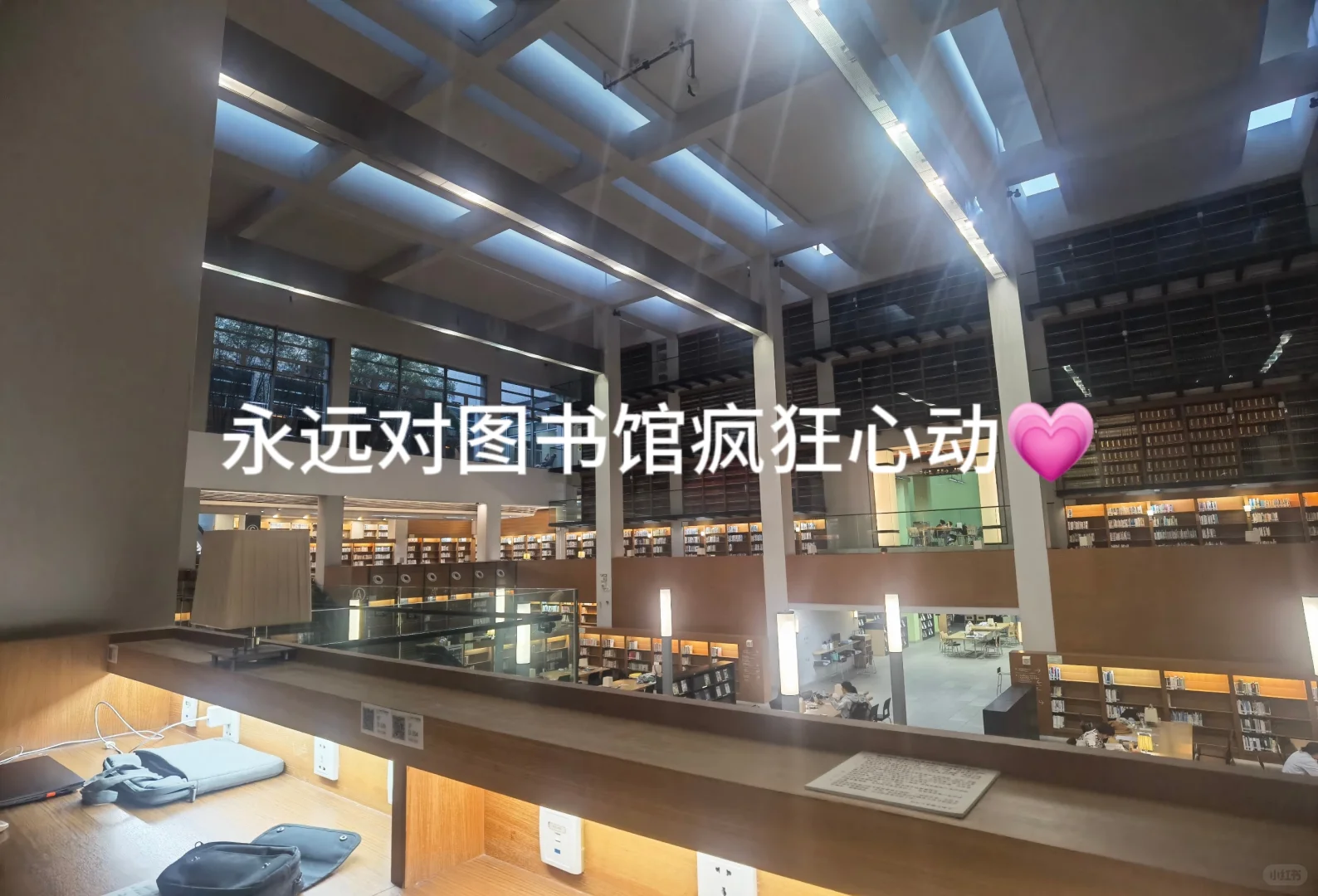 没特长的普通人，一定要试试成长型博主