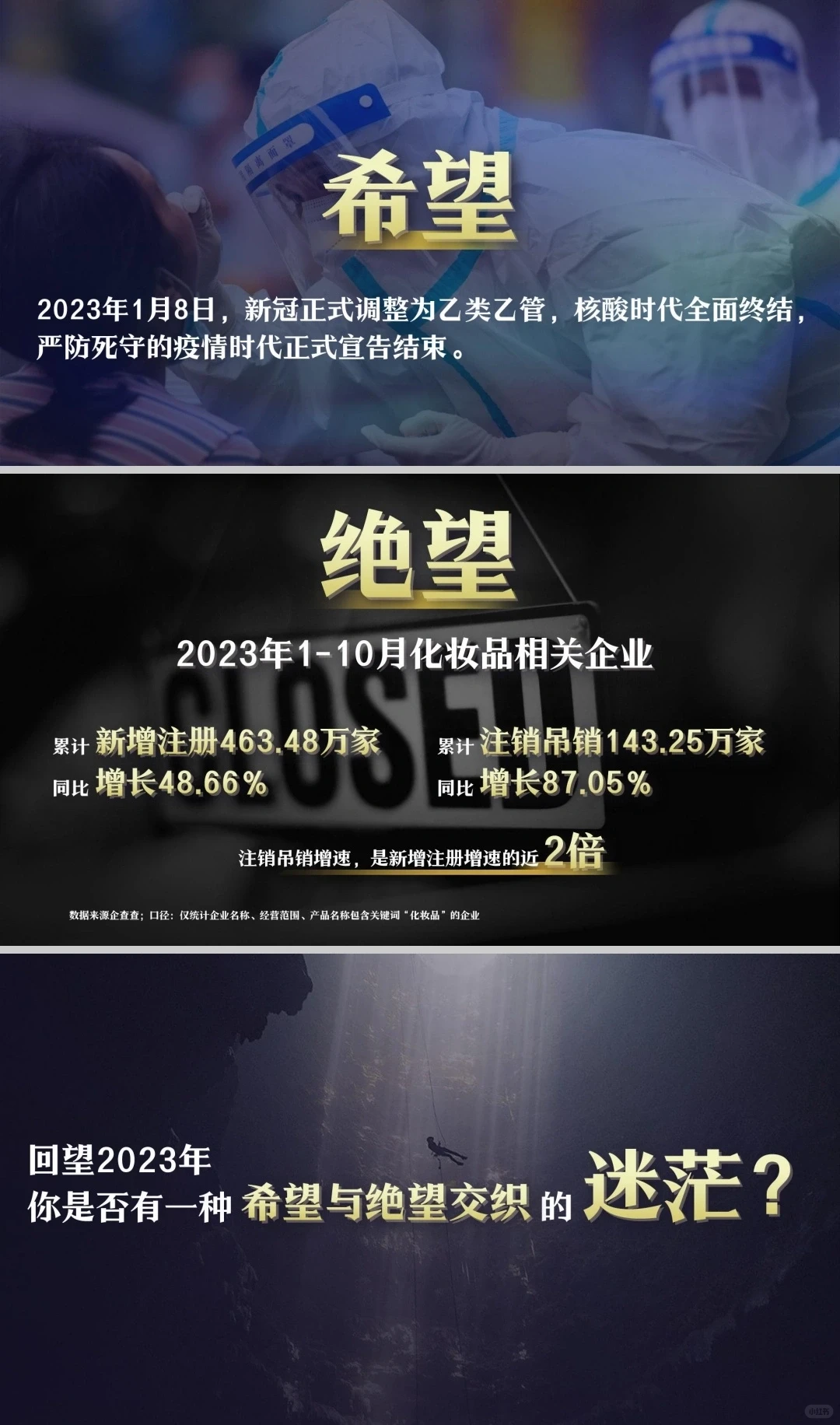 2023年美妆行业年度复盘报告