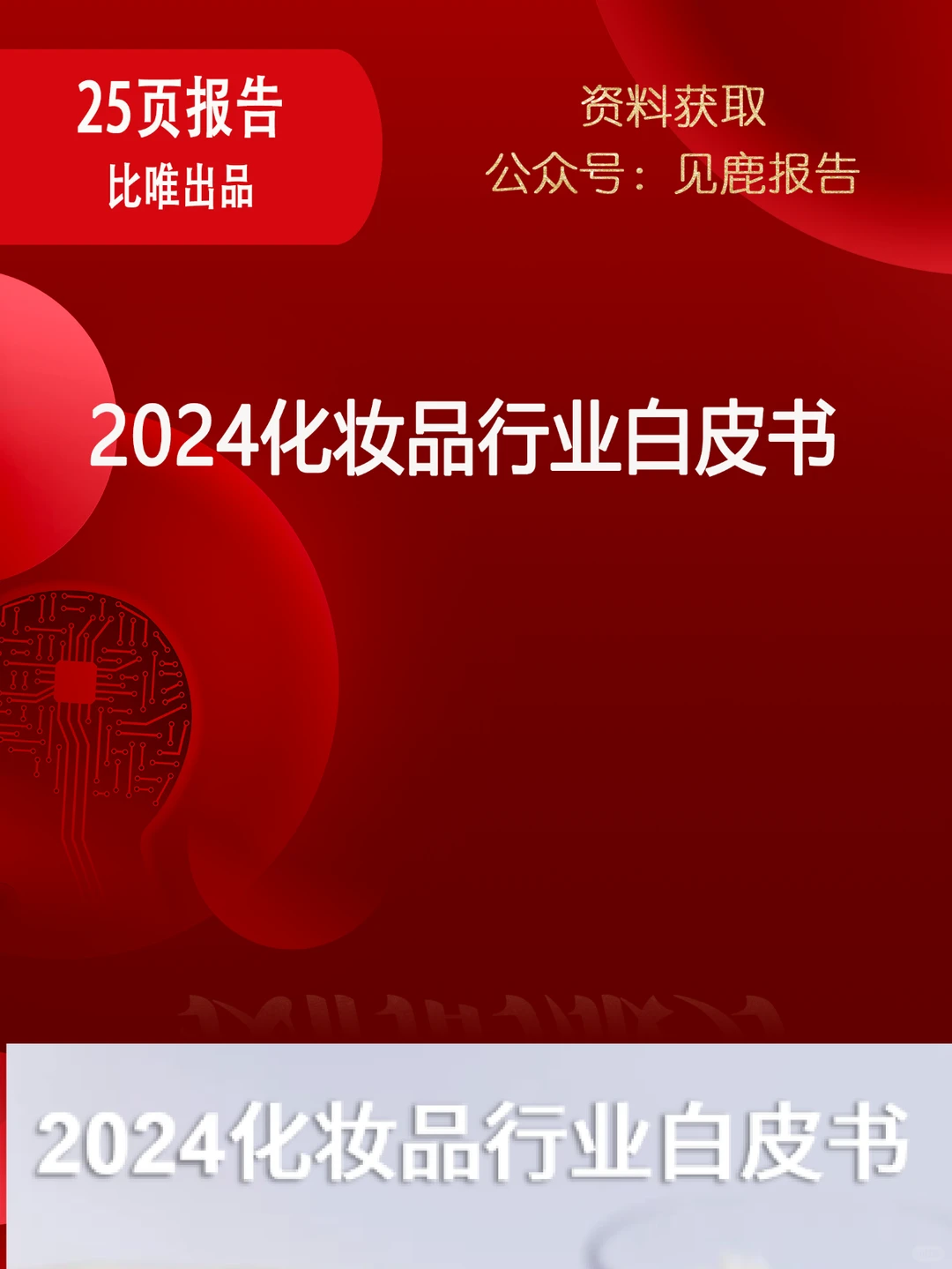 2024化妆品行业白皮书