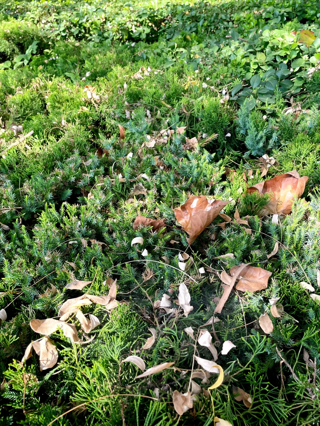 ?建议所有母婴博主：一定要做双赛道！?