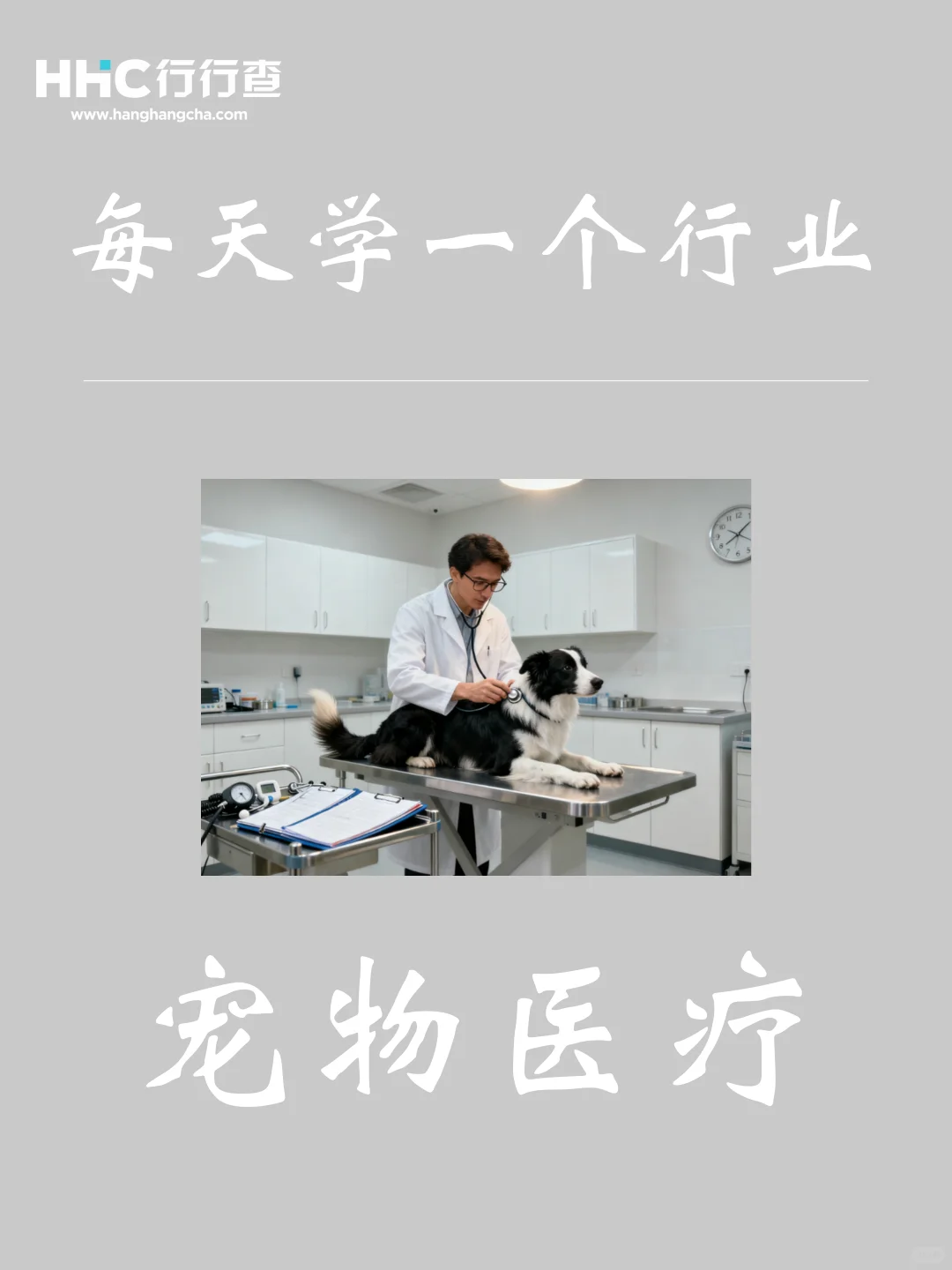 每天学习一个行业：宠物医疗