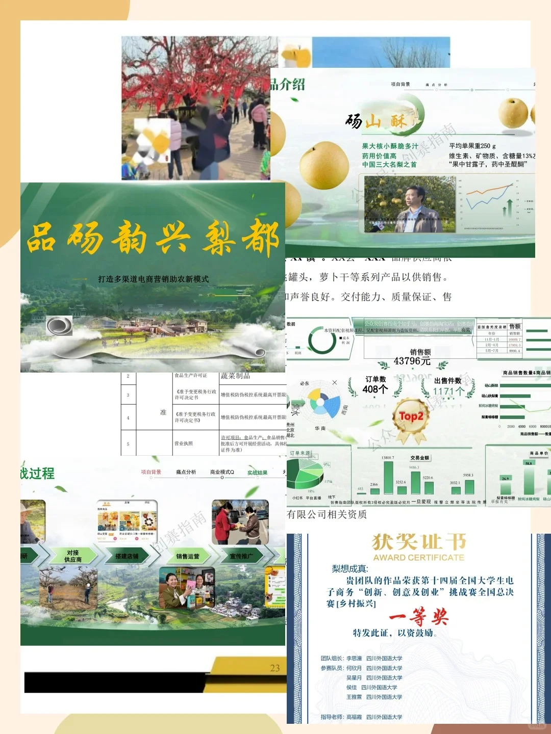 三创赛国金?乡村振兴获奖项目商业计划书