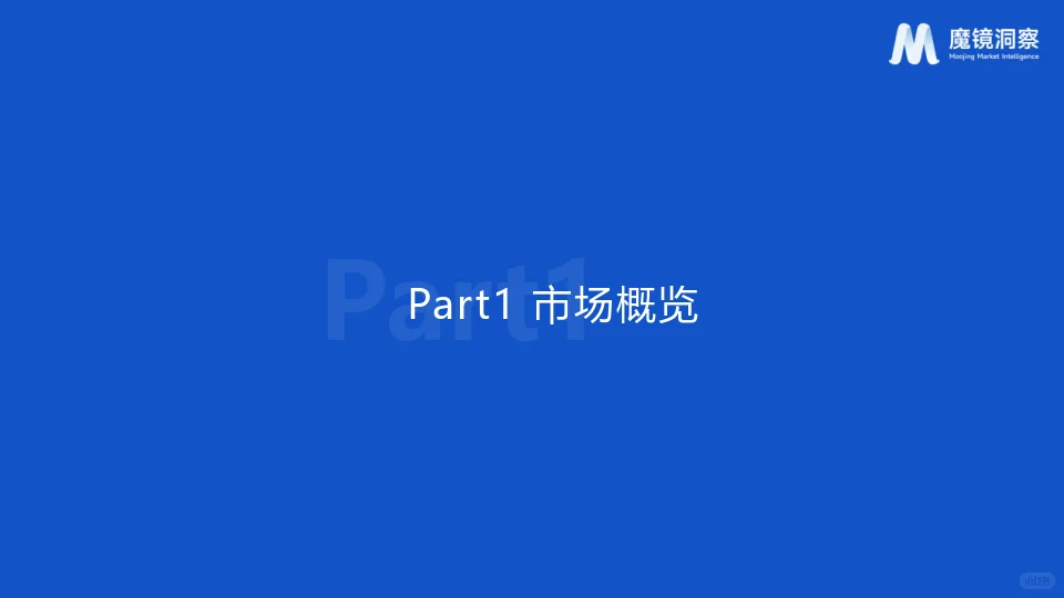 2024年儿童照相机市场趋势洞察报告