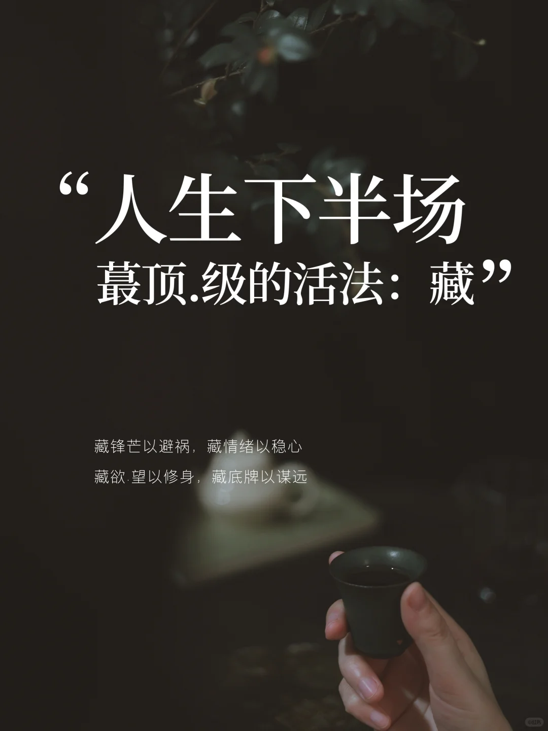 “人生下半场，蕞顶.级的活法：藏”