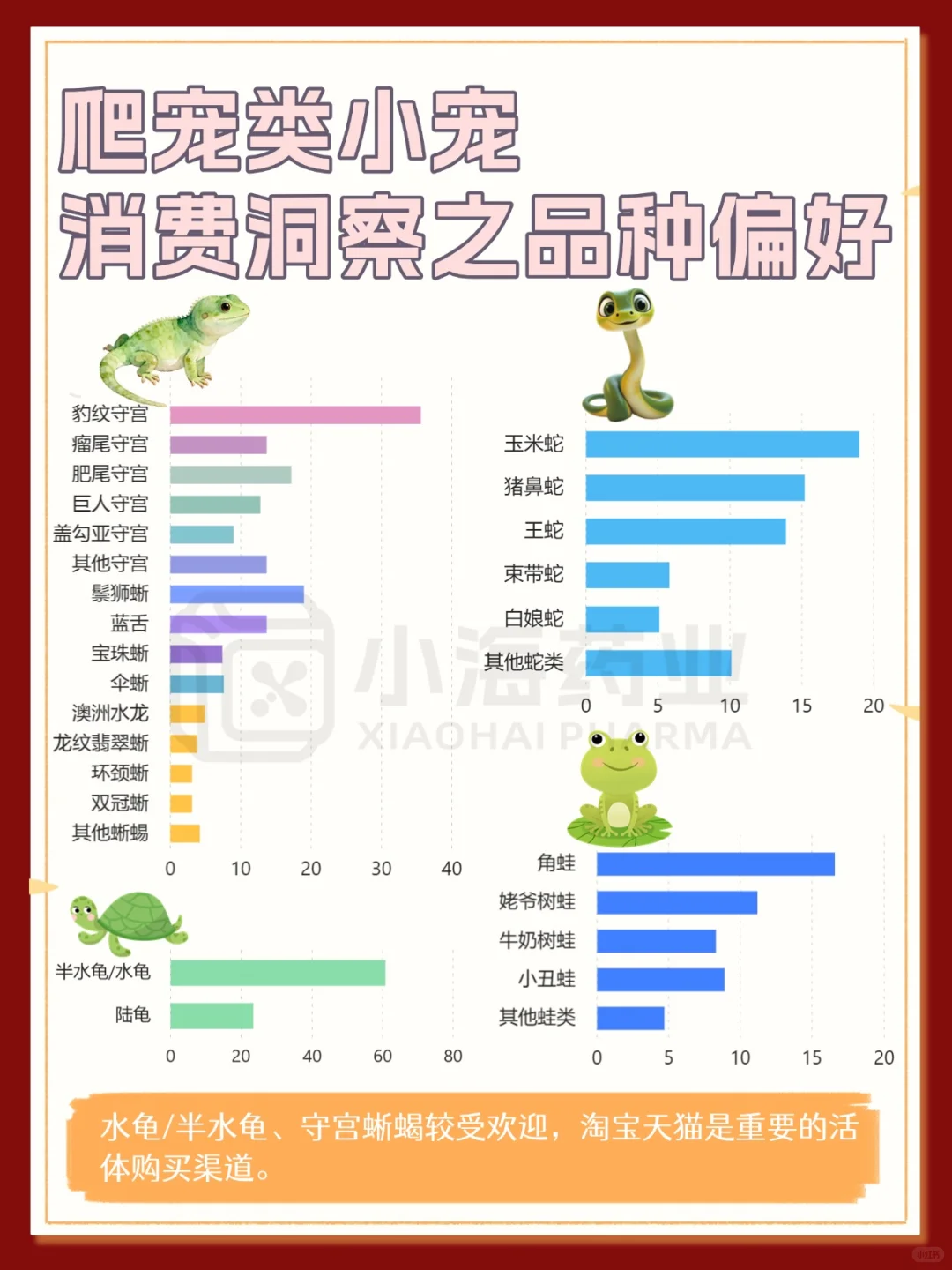 2025年小宠之爬宠消费洞察报告来啦！