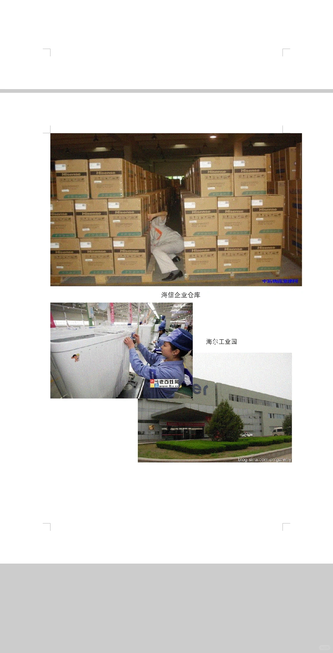 《经济学调查研究报告创业计划书》word