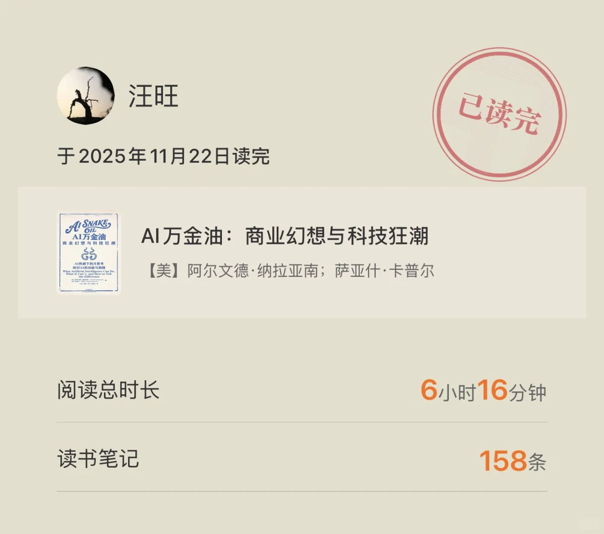 《AI万金油:商业幻想与科技狂潮》