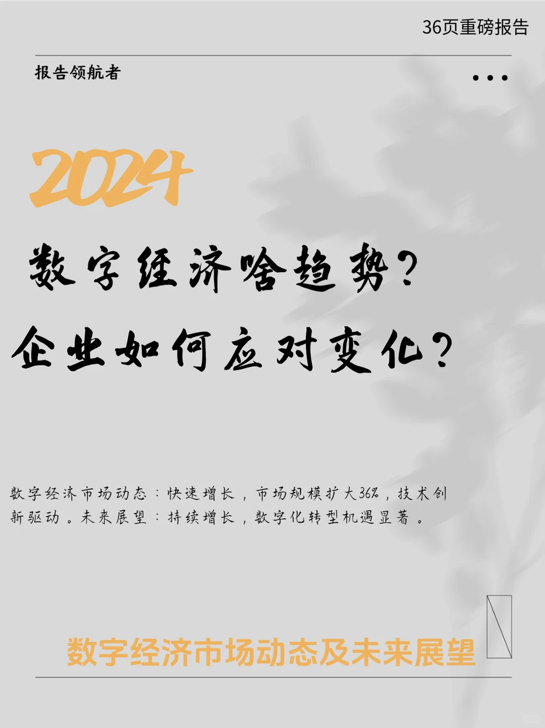 2024数字经济行业展望
