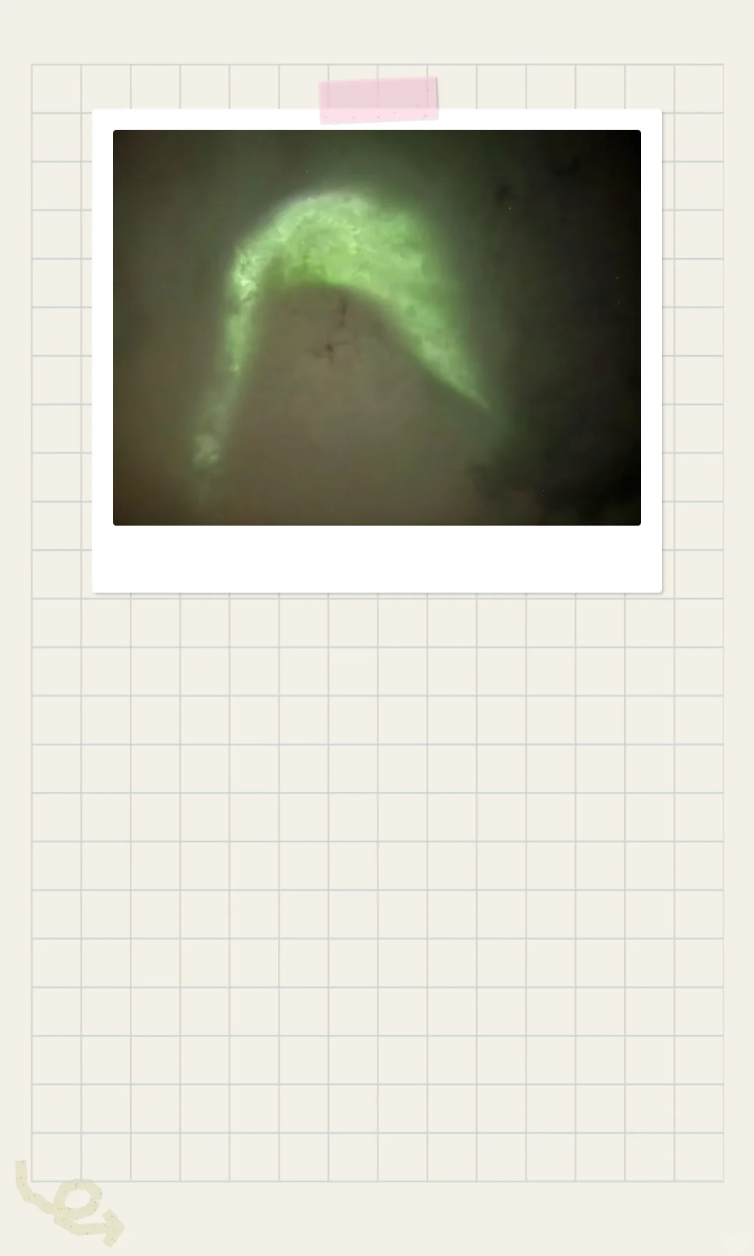 财富密码:努力与运气的博弈