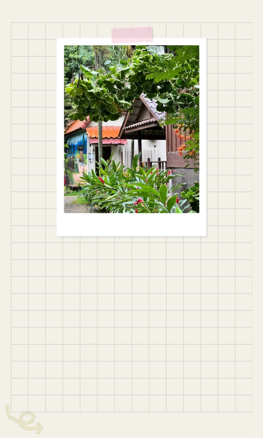 财富密码:努力与运气的博弈