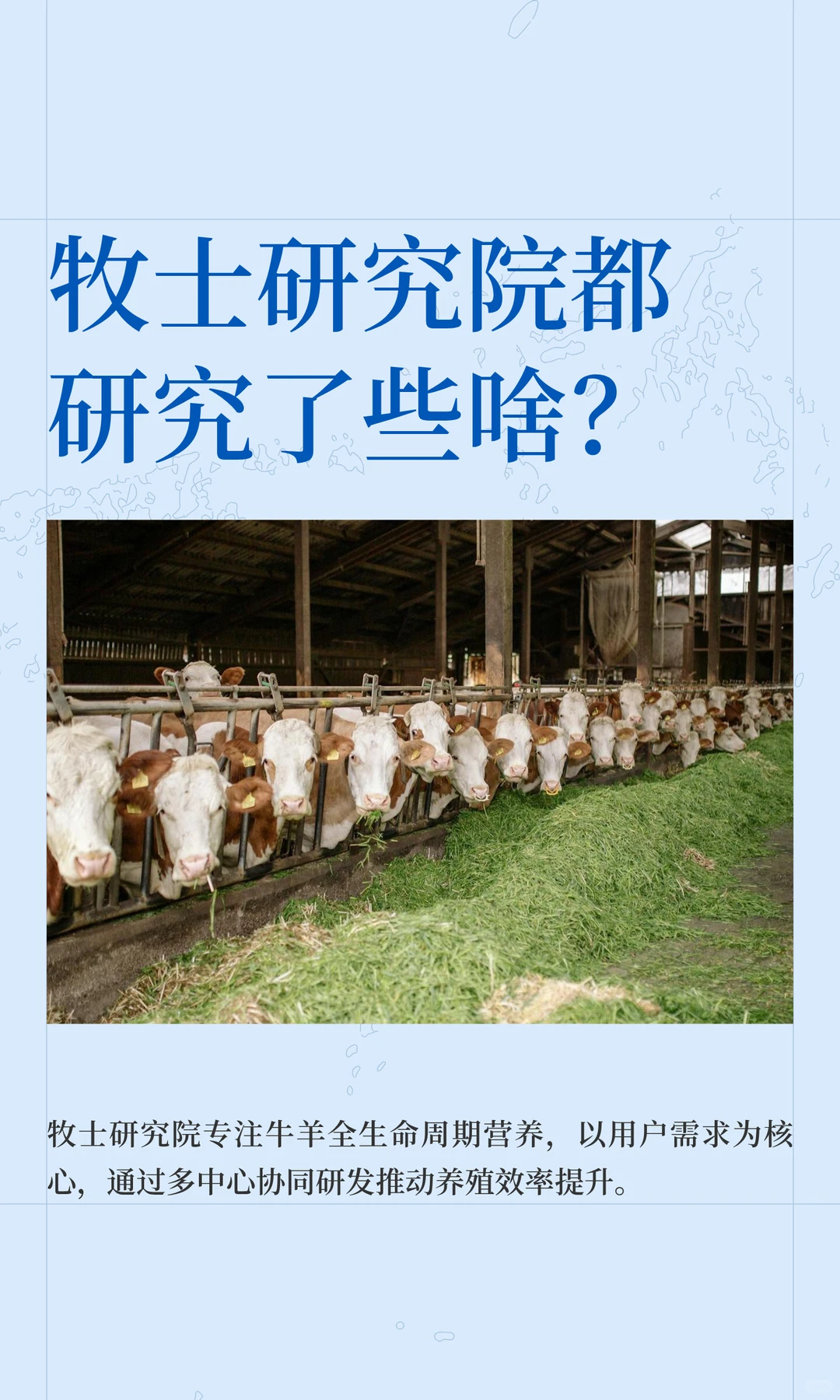 牧士研究院都研究了些啥？