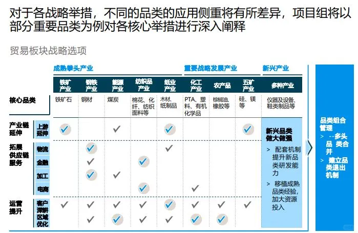 罗兰贝格综合型大型国企5年战略规划报告