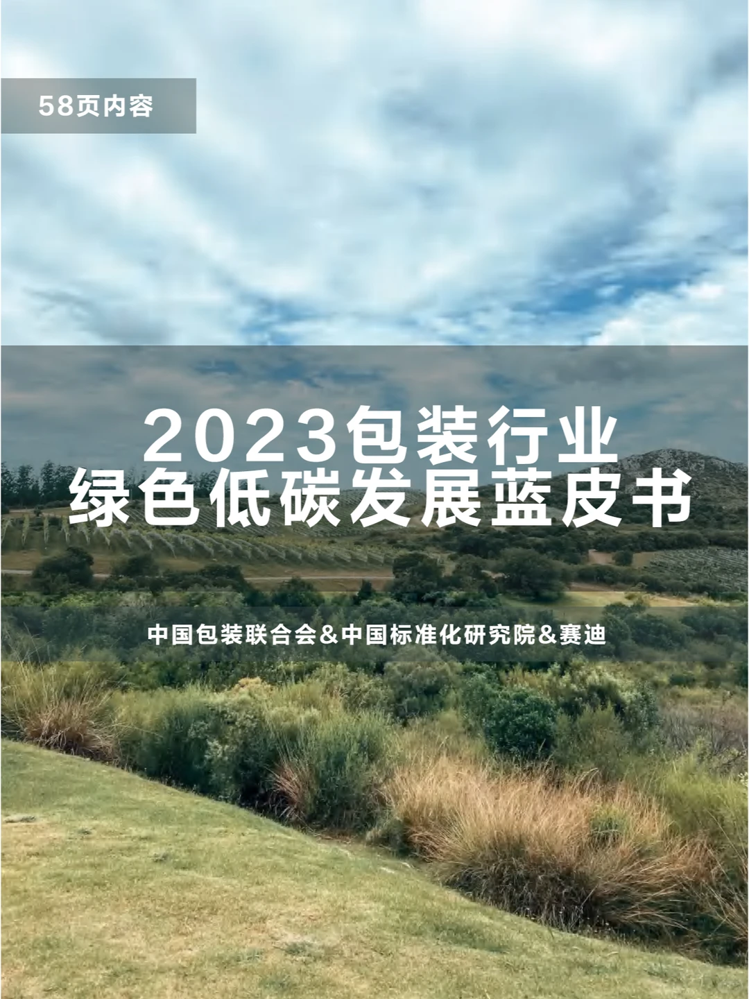 2023包装行业绿色低碳发展蓝皮书