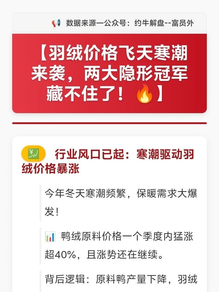 羽绒价格飞天寒潮来袭，两大隐形冠军藏不住