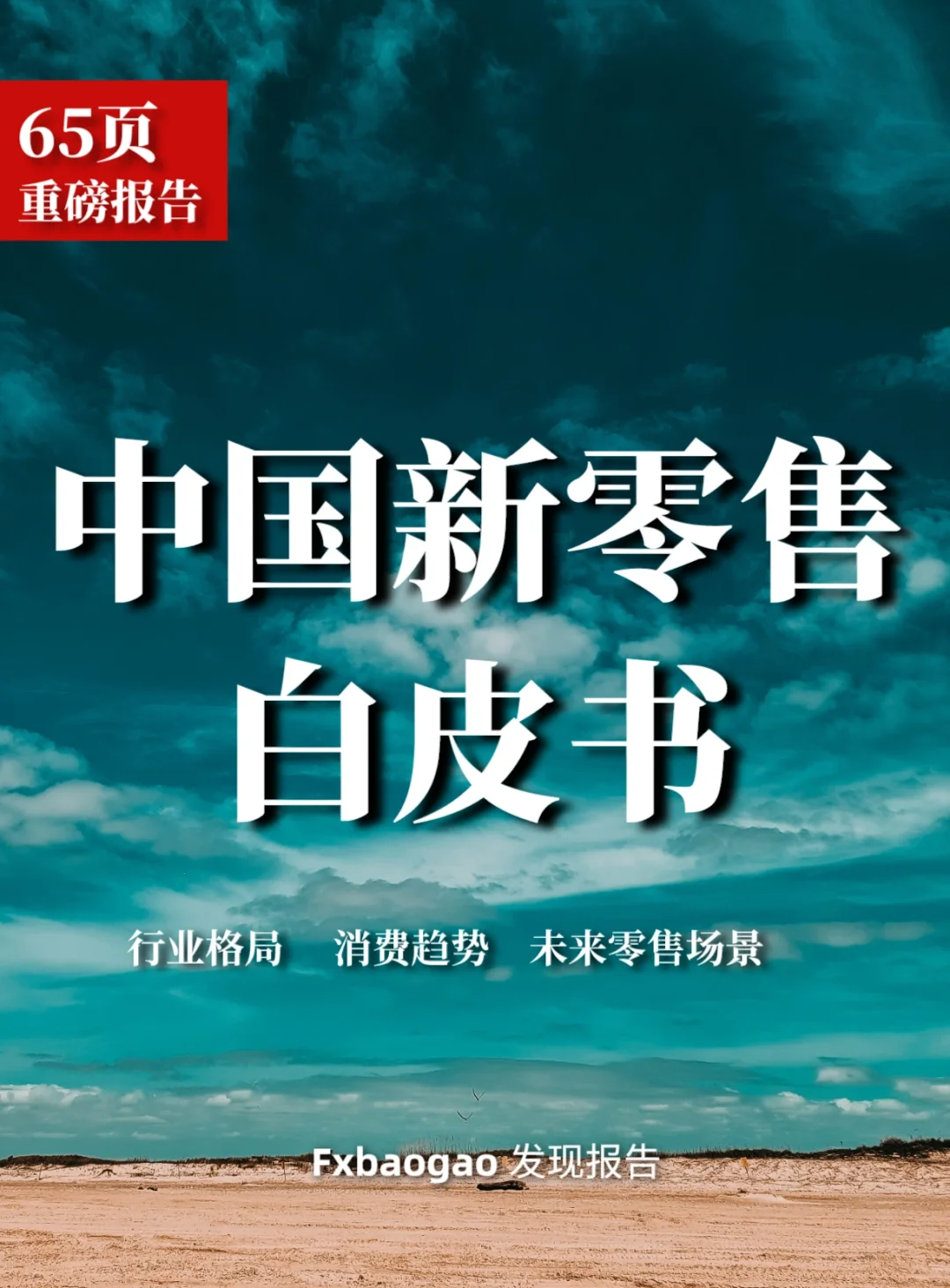 65页报告｜重磅： 2023中国新零售白皮书