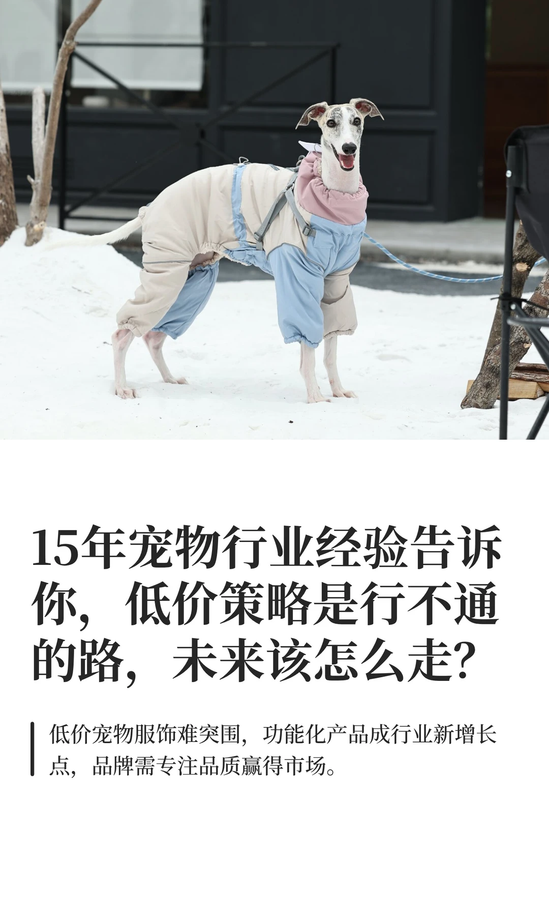 宠物品牌主理人，不要做单价9.9的宠物服饰