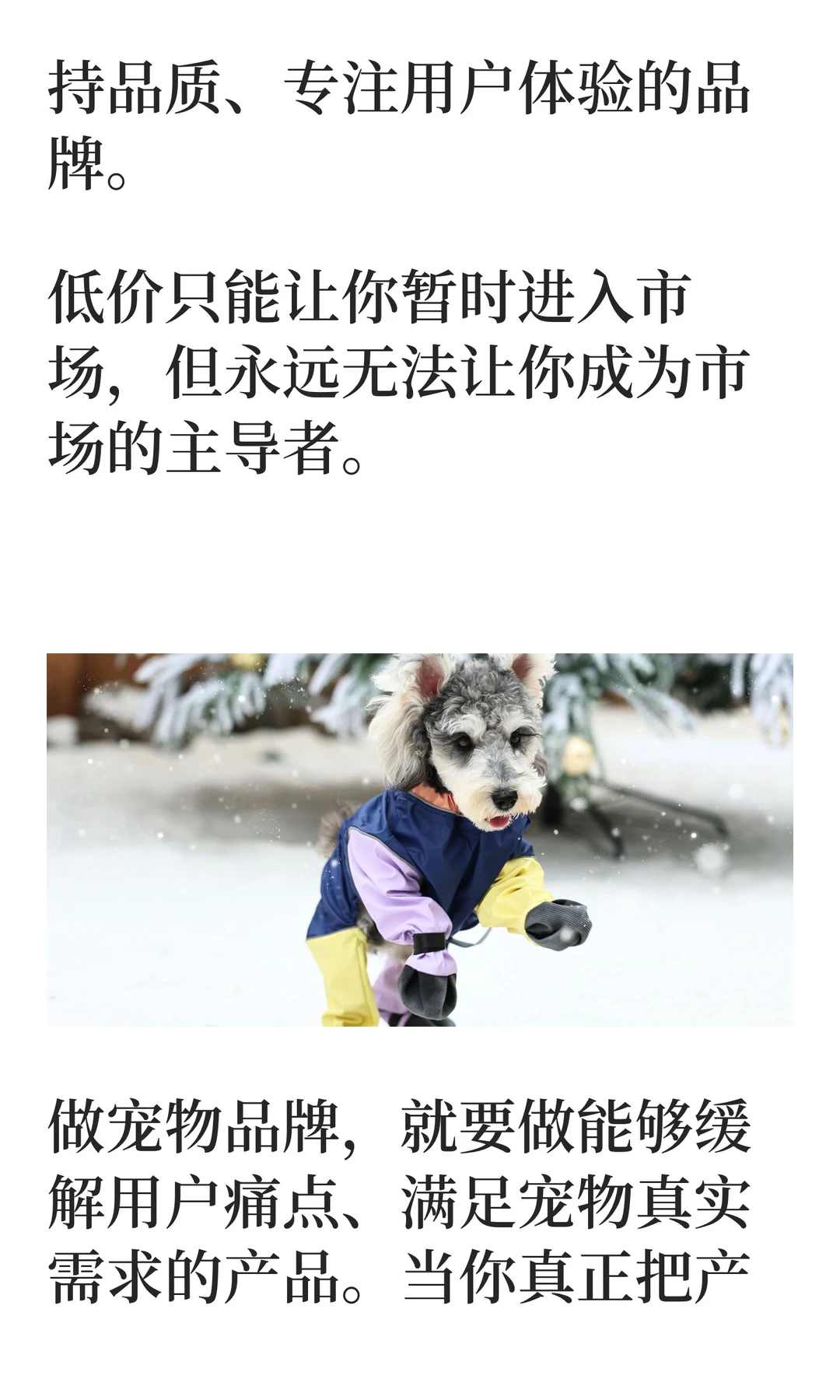 宠物品牌主理人，不要做单价9.9的宠物服饰