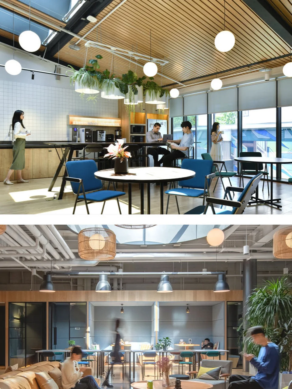 租期5年0增长，财务更安心