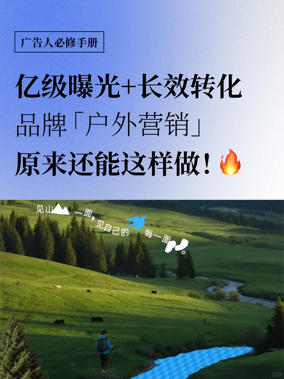 亿级曝光+长效转化,这波标杆打法请抄走?