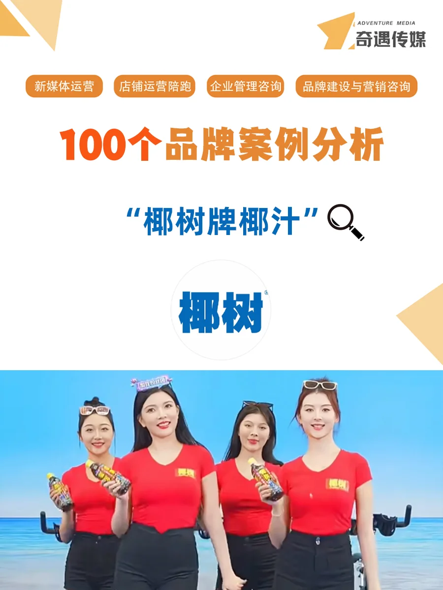 100个品牌案例分析——椰树牌椰汁