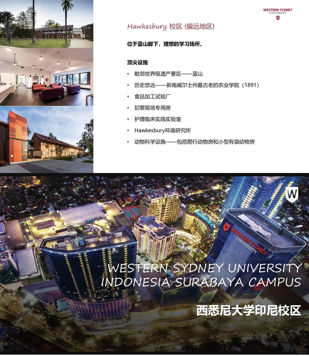 ??西悉尼大学,好拿奖学金,预算不足,?